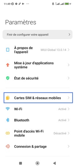 Étape 3 : Sélectionnez Cartes SIM & réseaux mobiles.